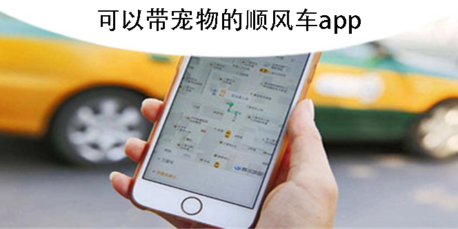 可以带宠物的顺风车app