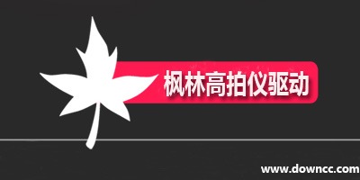 枫林高拍仪驱动