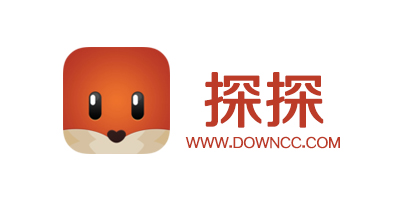 探探