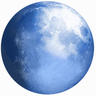 火狐浏览器辅助(Pale Moon)