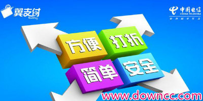 翼支付