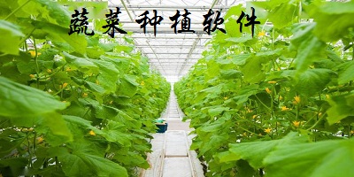 蔬菜种植软件