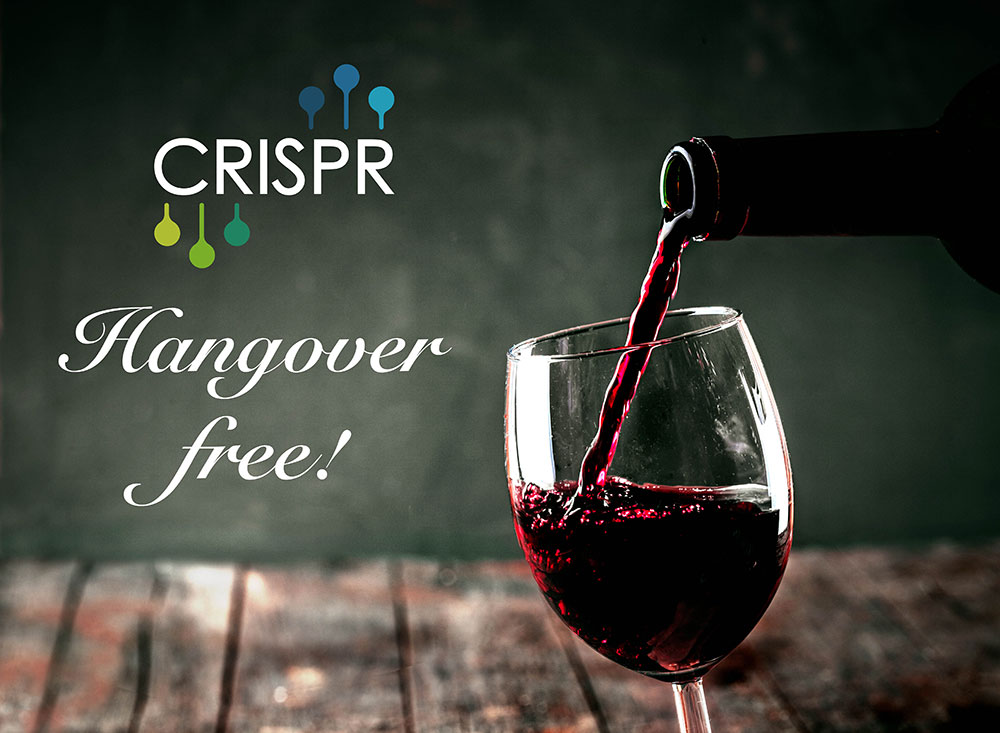 二日酔い防止酒を醸造するCRISPR