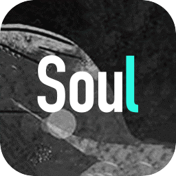 soul电脑版