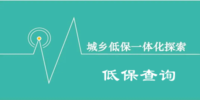 低保查询
